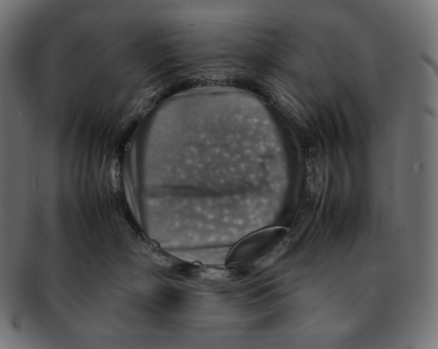 X0000092050718200710101015