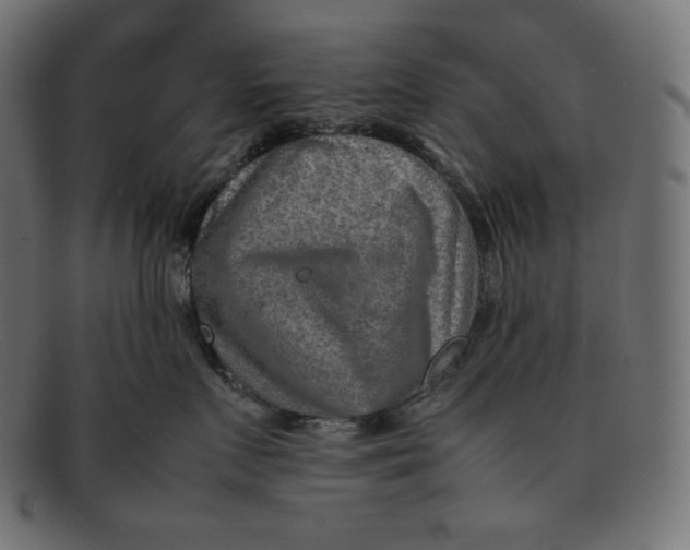 X0000092050719200710101015