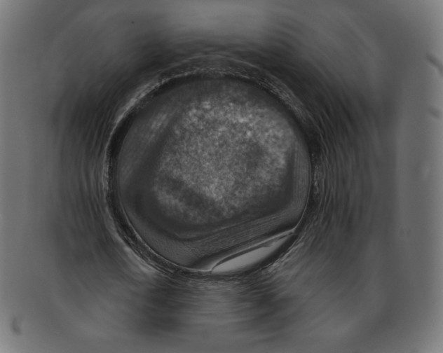 X0000092050722200710101015