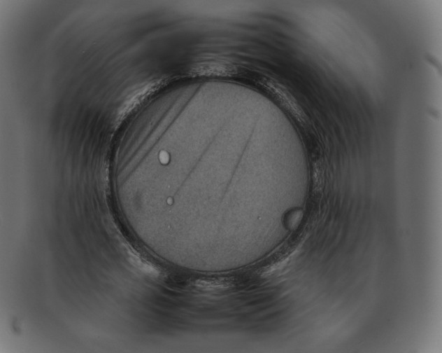 X0000092050725200710101015