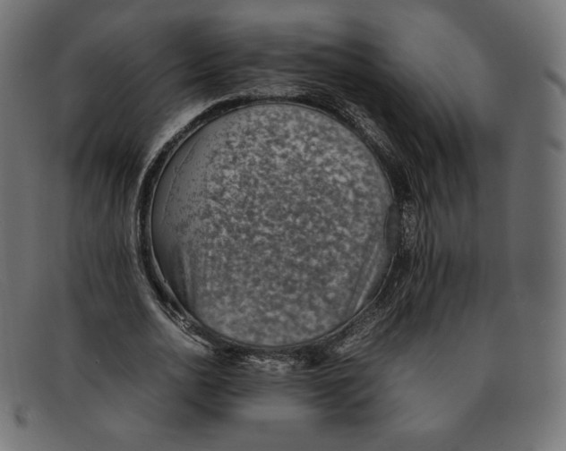 X0000092050726200710101015