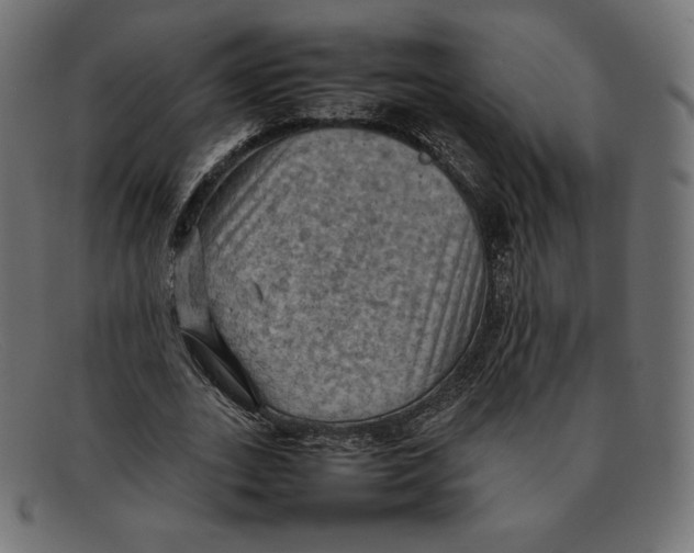 X0000092050727200710101015