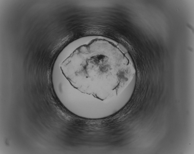 X0000092050729200710101015