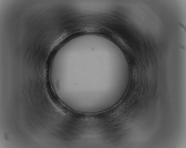 X0000092050730200710101015