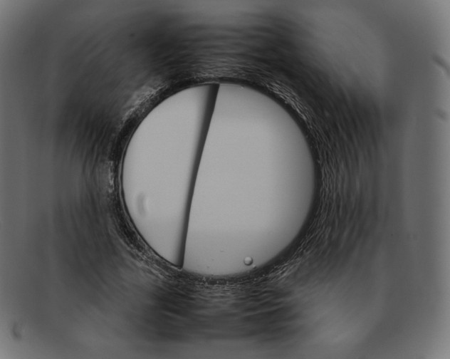 X0000092050731200710101015