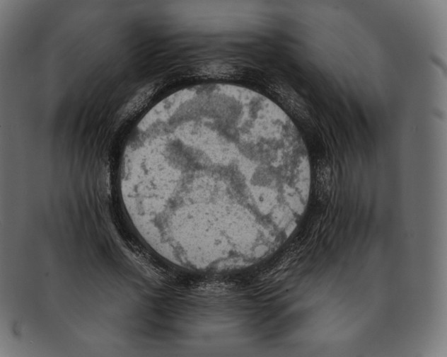 X0000092050734200710101015