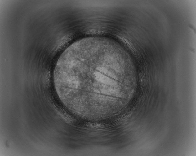 X0000092050735200710101015