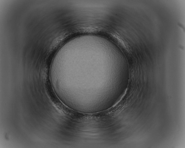 X0000092050736200710101015