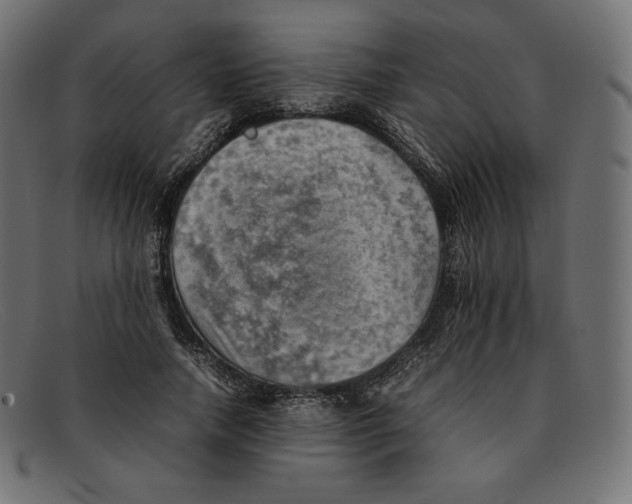 X0000092050738200710101015