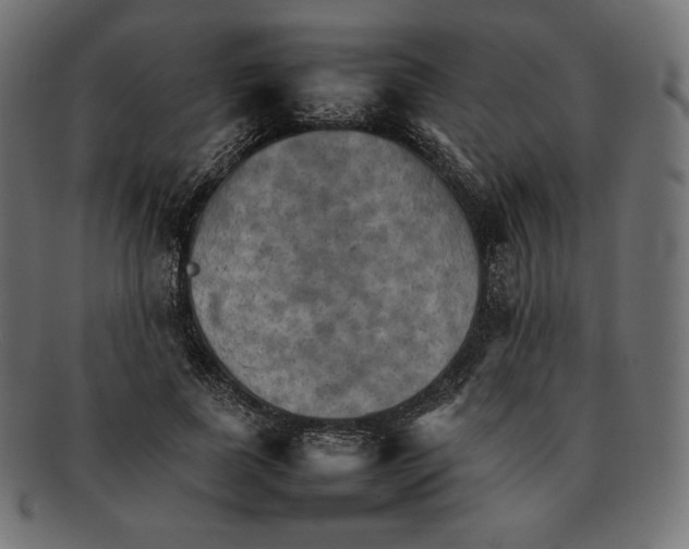 X0000092050739200710101015