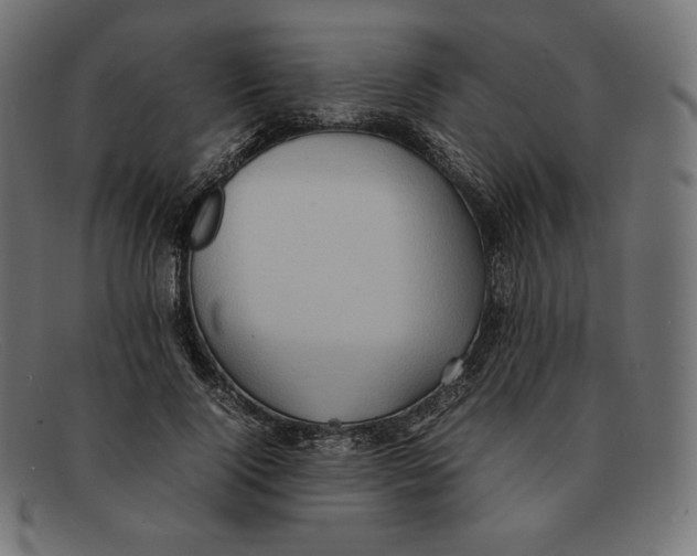 X0000092050740200710101015