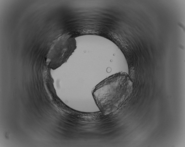 X0000092050741200710101015