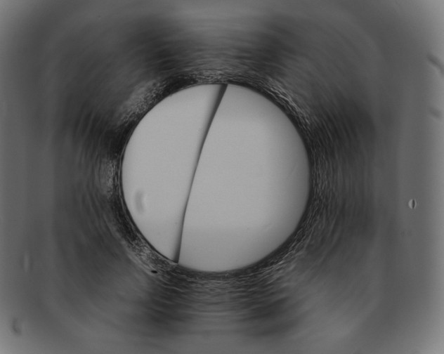 X0000092050742200710101015