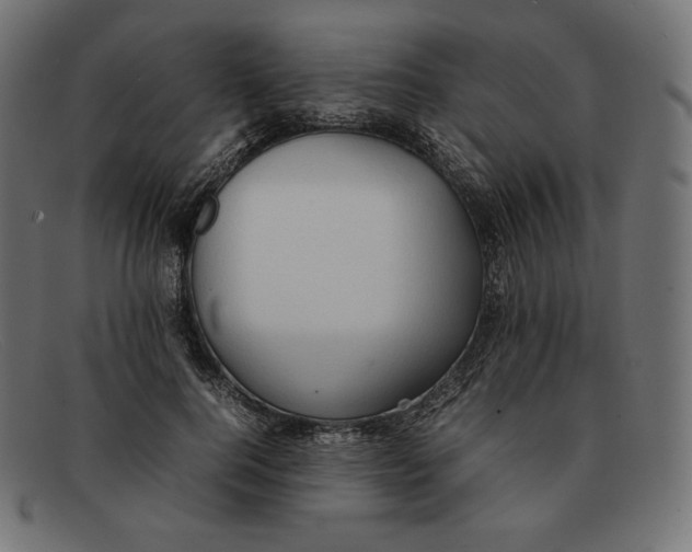 X0000092050744200710101015