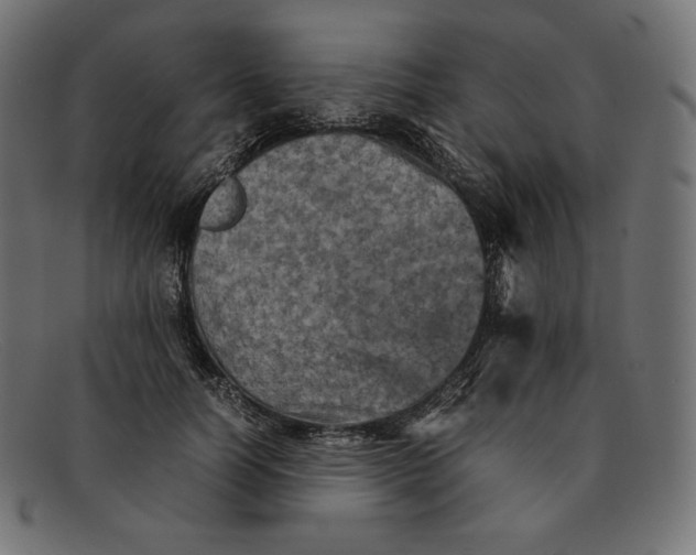 X0000092050746200710101015