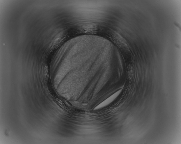 X0000092050748200710101015