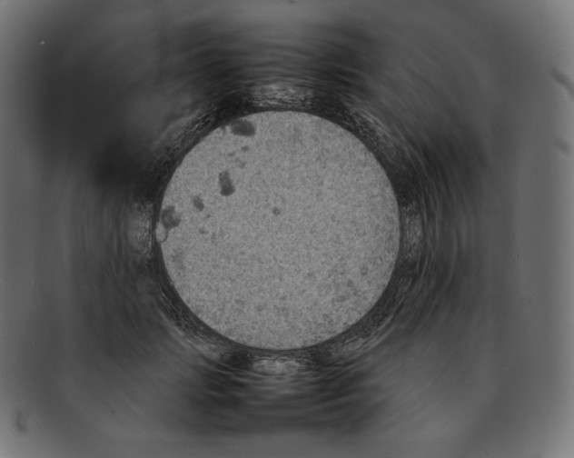 X0000092050749200710101015