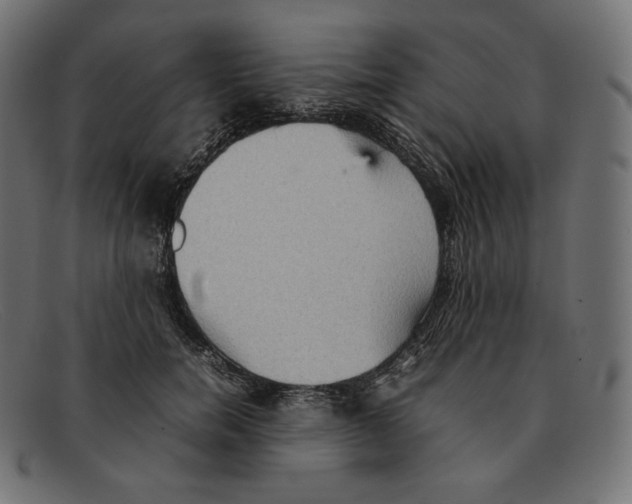 X0000092050750200710101015