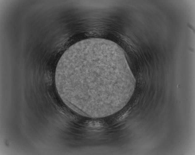 X0000092050751200710101015