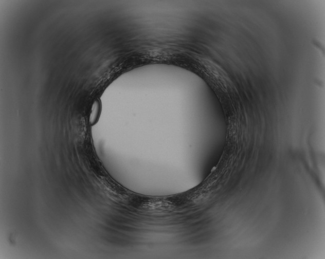 X0000092050752200710101015