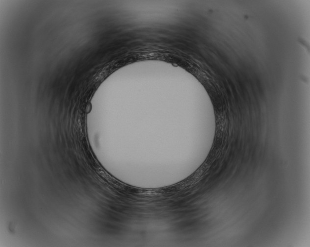 X0000092050754200710101015