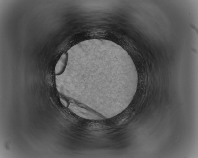 X0000092050755200710101015