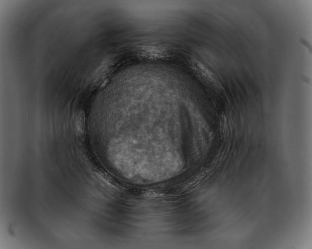 X0000092050760200710101015