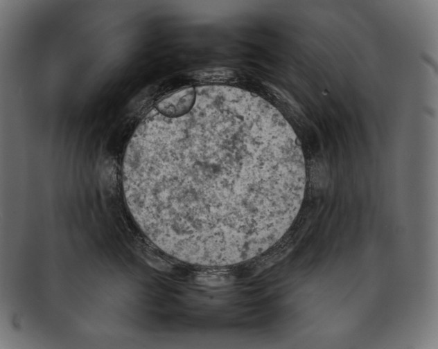 X0000092050761200710101015