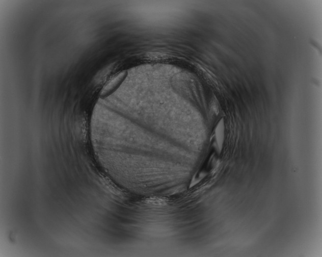 X0000092050762200710101015