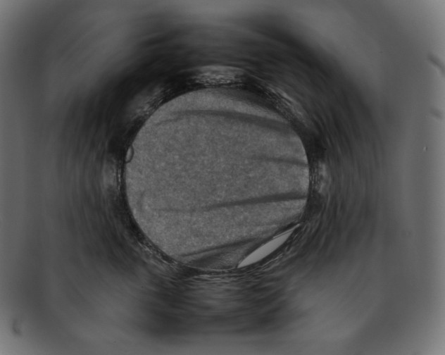 X0000092050763200710101015