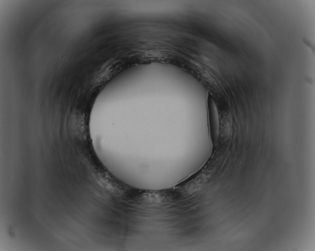 X0000092050764200710101015