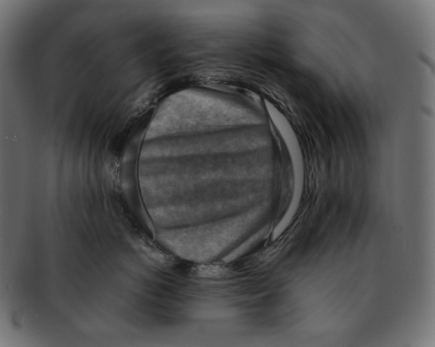 X0000092050766200710101015