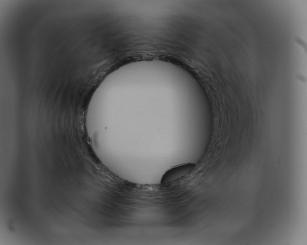 X0000092050768200710101015