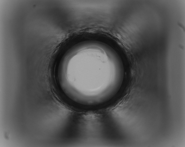 X0000092050769200710101015