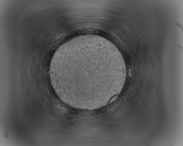 X0000092050771200710101015