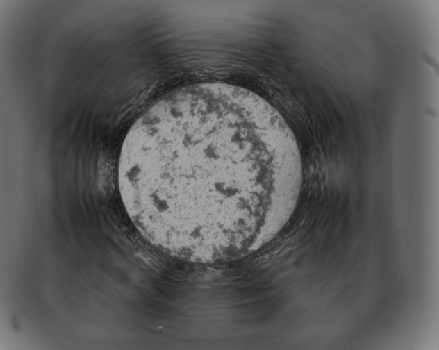 X0000092050772200710101015