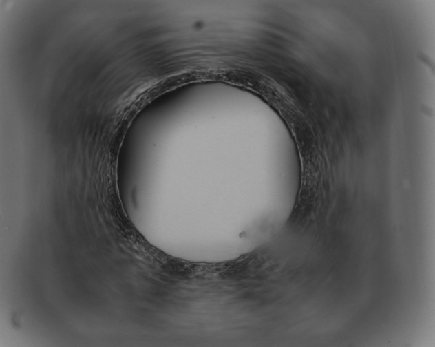 X0000092050773200710101015