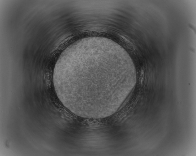 X0000092050774200710101015