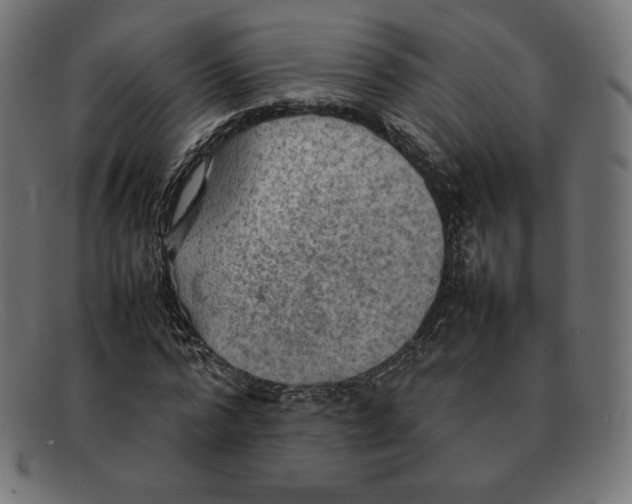 X0000092050776200710101015