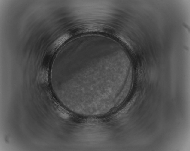 X0000092050777200710101015