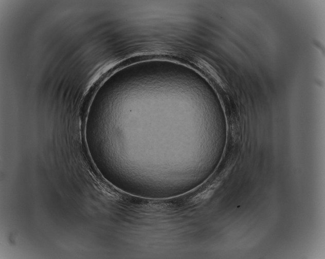 X0000092050781200710101015