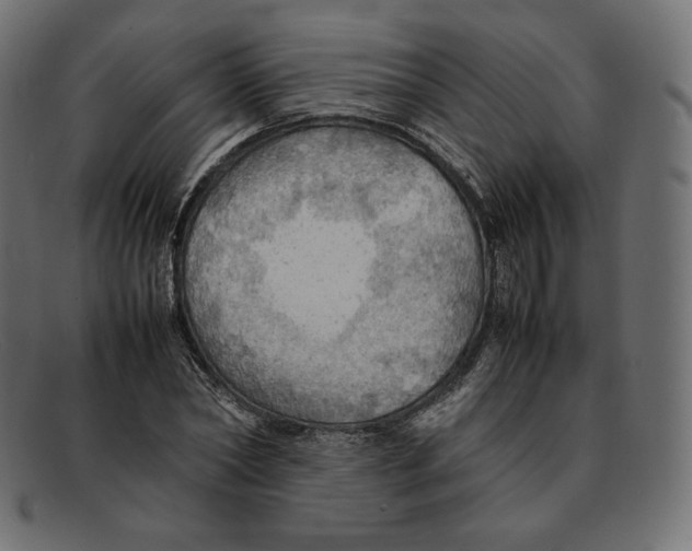 X0000092050782200710101015