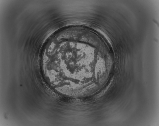 X0000092050783200710101015