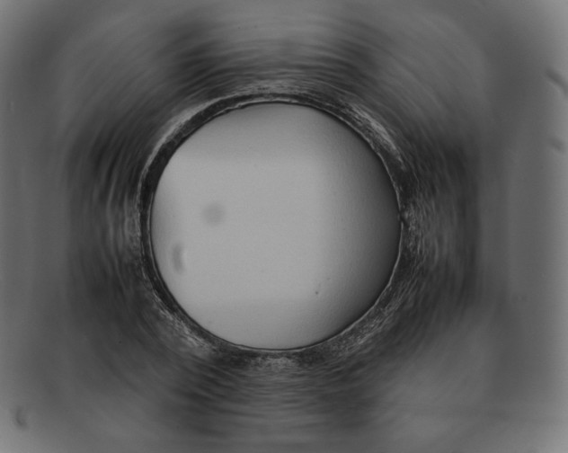 X0000092050784200710101015