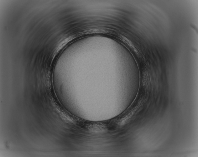 X0000092050786200710101015