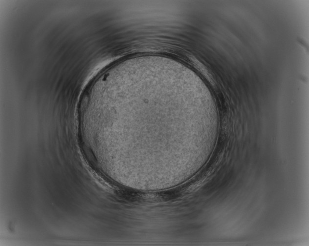 X0000092050787200710101015