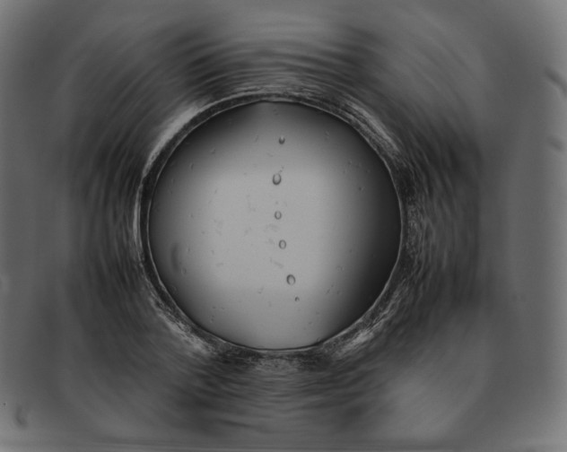 X0000092050788200710101015