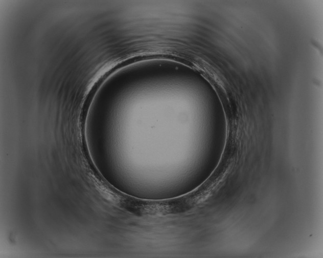 X0000092050789200710101015