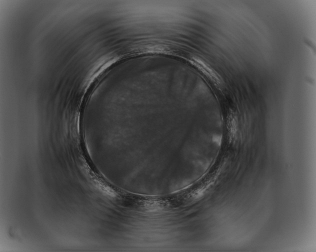 X0000092050790200710101015