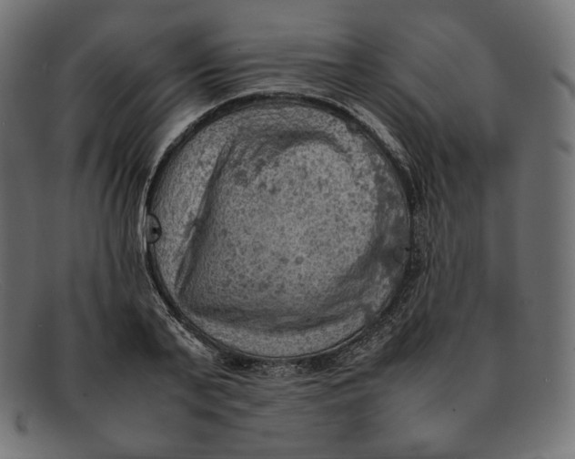 X0000092050791200710101015